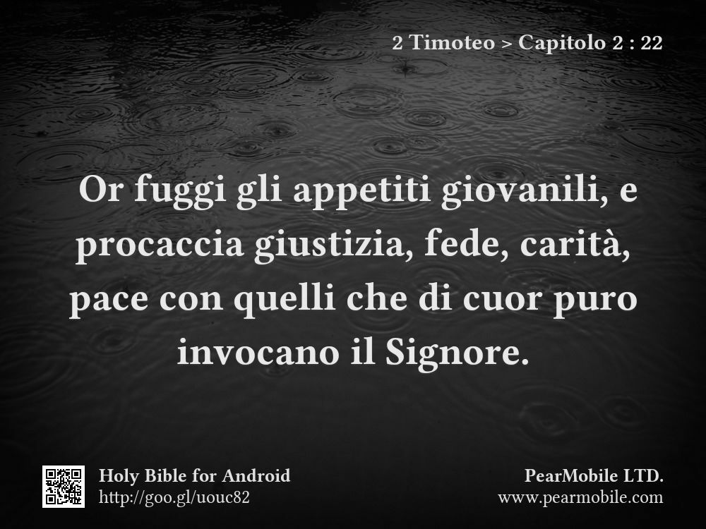 2 Timoteo, Capitolo 2:22